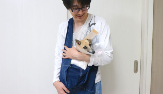 デニムパンツで小型犬用スリングバッグを自作！切らない・ミシンで縫うだけの簡単な作り方