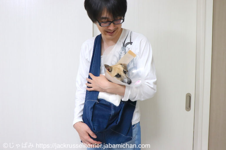デニムパンツで小型犬用スリングバッグを自作！切らない・ミシンで縫うだけの簡単な作り方 | きみは、幸せかい？