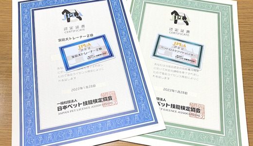 20. 家庭犬トレーナーの資格を取ってみた