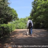 兵庫県立甲山森林公園