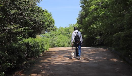 【犬と行ける公園】兵庫県立甲山森林公園に行ってきたのでレビューします