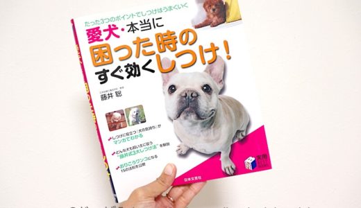 【レビュー】藤井 聡著『愛犬・本当に困った時のすぐ効くしつけ！』は犬の問題行動に悩んでる人におすすめの本です