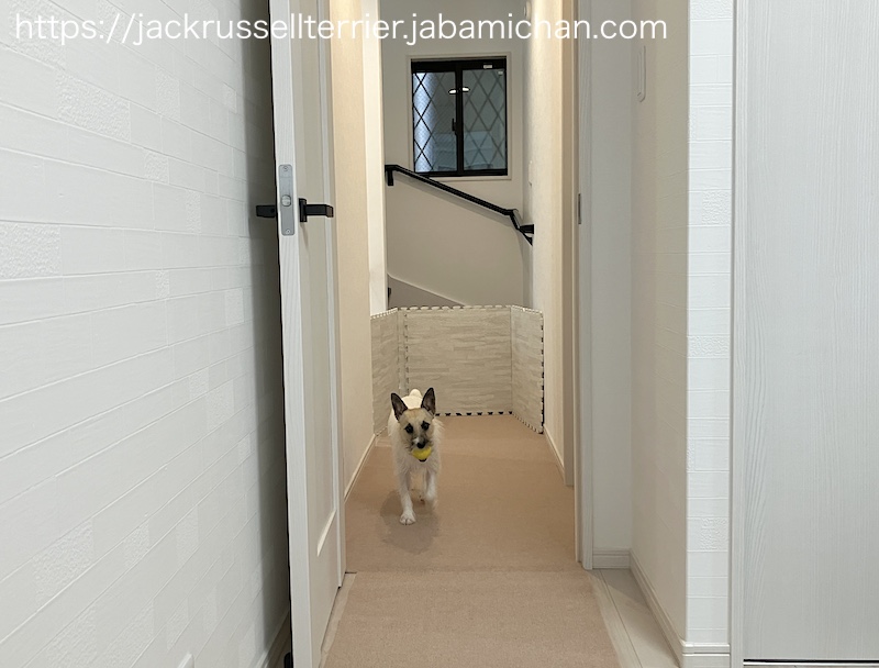 サンコー おくだけ吸着マット 犬